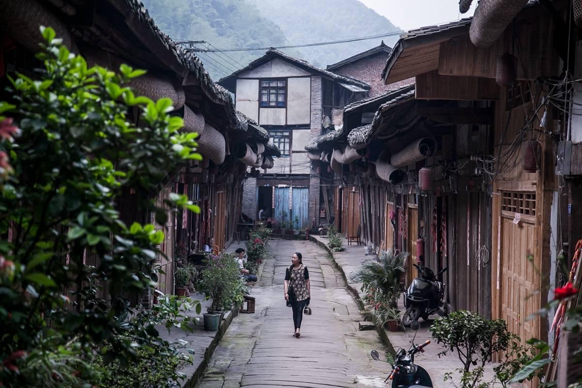 狍子雪地被困，被当地养殖户解救后呆在原地，久久不肯离去